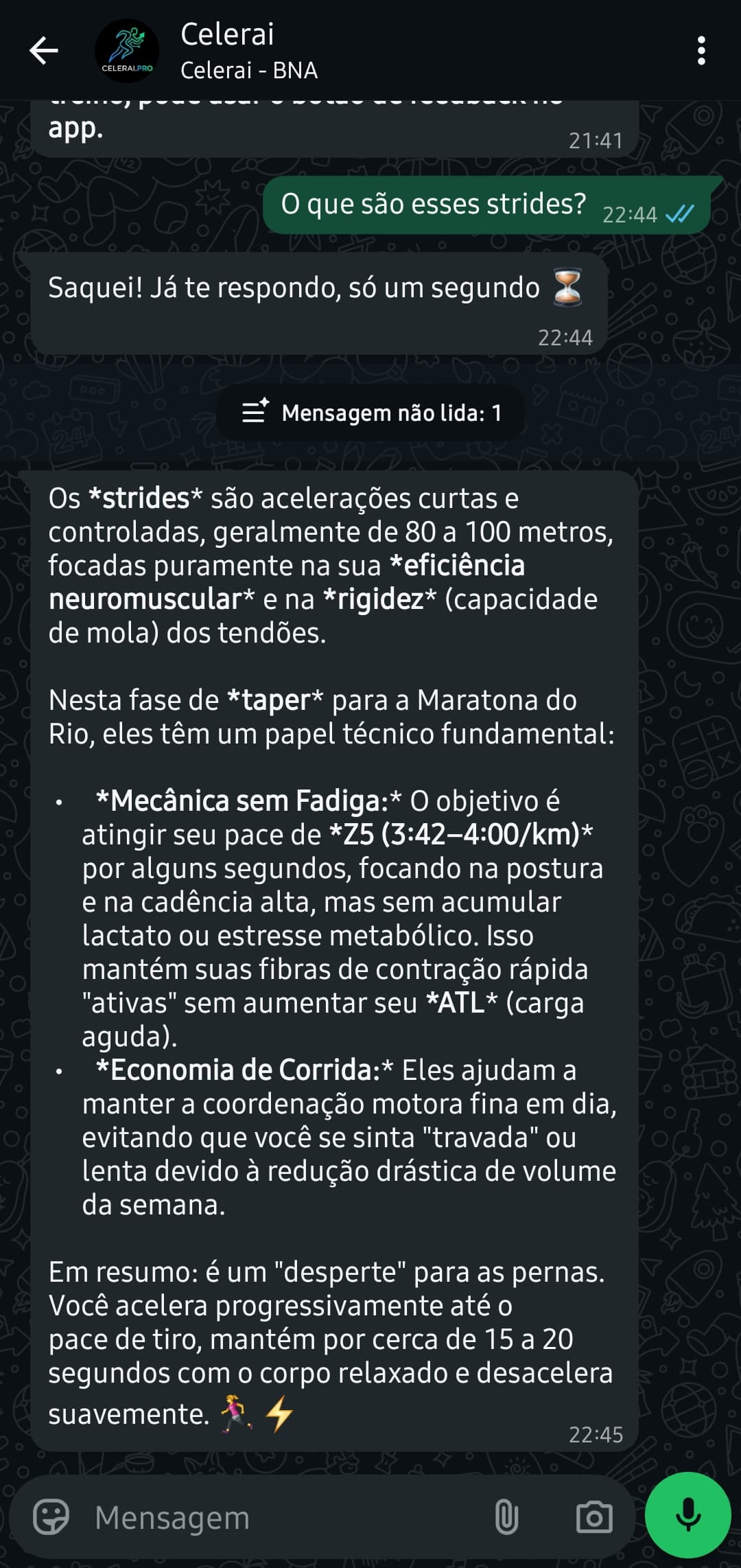 Entender o treino
